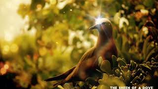 'The Sheen of a Dove' full movie by Yuki Ato Narayan