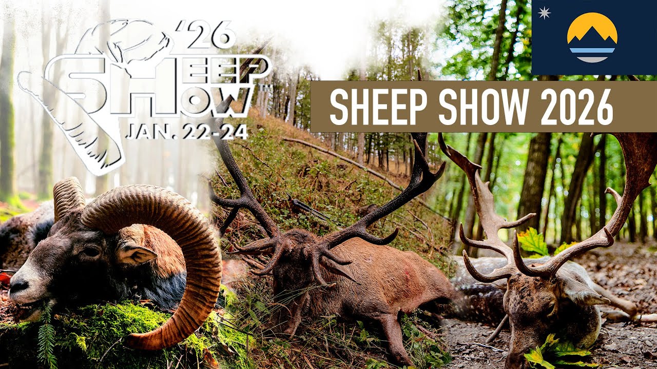 Sheep Show 2026 – Reno