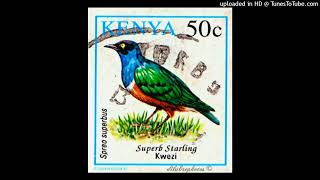 Download Lagu Benga~Kamba Music ( Kenya🇰🇪)-Kimangu Boys Band 🎸🎶🔥🇰🇪 MP3 Download Lagu Benga~Kamba Music ( Kenya🇰🇪)-Kimangu Boys Band 🎸🎶🔥🇰🇪 MP3