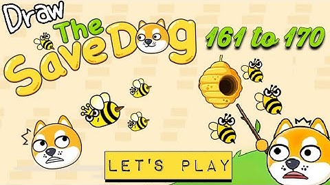 Draw The Save Dog level 161 to 170#Draw The Save Dog game