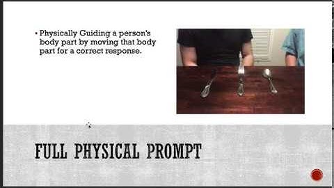 Prompt Hierarchy Video