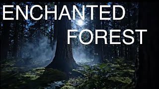 Enchanted Forest Night Ambience | Deep Sleep, Relaxation & Nature Sounds