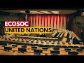 Economic and social council ecosoc  united nations