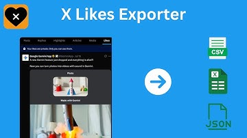 How to bulk export you liked posts from X (Twitter) ?
