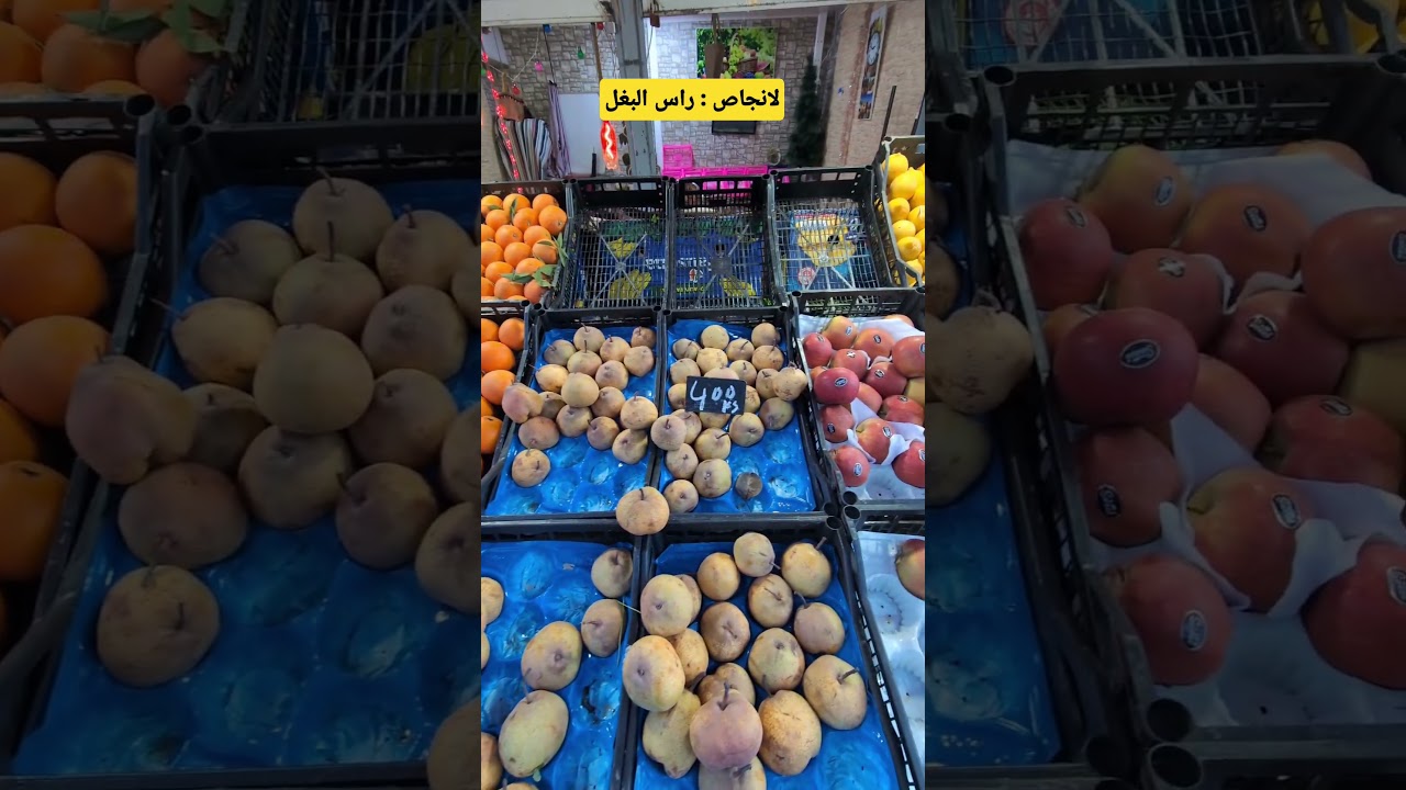 لانجاص راس البغل من مدينة مليانة
