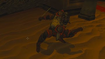 Morrowind combat be like