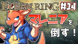【ELDEN RING】マレニアを倒す　ただそれだけ【完全初見#14】【ケモノVtuber】
