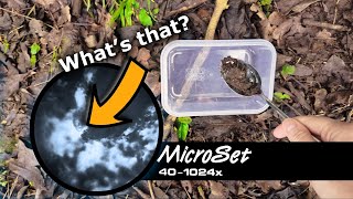 My First Time Using a Microscope… It Didn’t Go as Planned