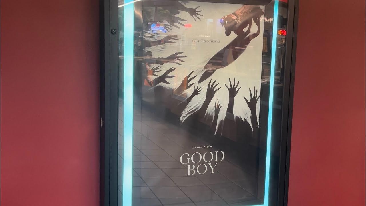 Good Boy at Fox Tower 10 | Matthew Henson Movie Vlog