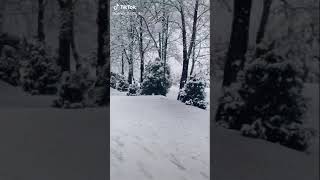 Ele Sensen Gozlerime Gorunen........