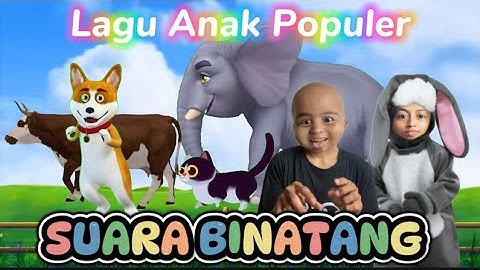 SUARA BINATANG Lagu Viral Anak Anak #laguanak #suarabinatang #kbeeb #laguanakindonesia