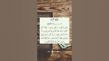 سورة التين بصوت خاشع #القرآن_الكريم #quran #راحة_نفسية #تلاوات #آيات #ماهر_المعيقلي #سورة_التين