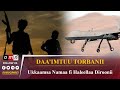 Daa Imtuu Torbanii Ukkaamsa Namaa Fi Haleellaa Diroonii Daa Imtuu Torbanii Ukkaamsa Namaa Fi Haleellaa Diroonii