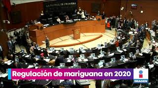 Ordenan regularizar el uso lúdico de la marihuana | Noticias con Yuriria Sierra