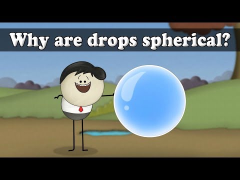 Surface Tension - Why are drops spherical? | #aumsum #kids #science #education #children