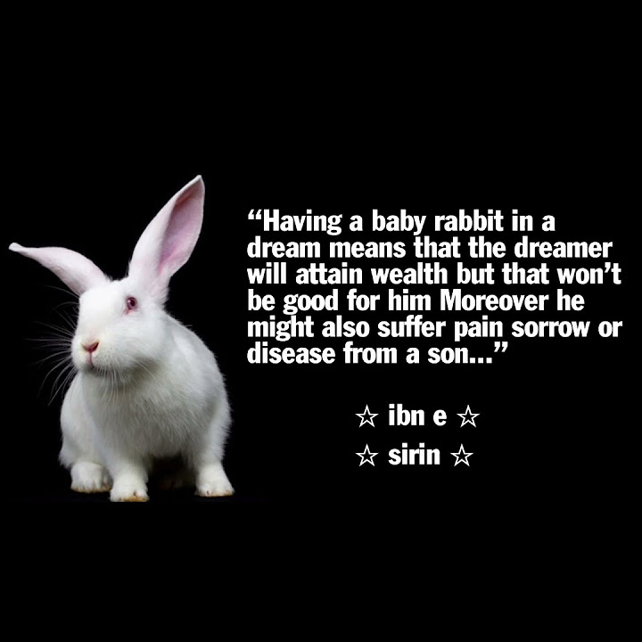 According To Ibn E Sirin Seeing Rabbit In Dream Islamic Interpreter according-to-ibn-e-sirin-seeing-rabbit-in-dream-islamic-interpreter