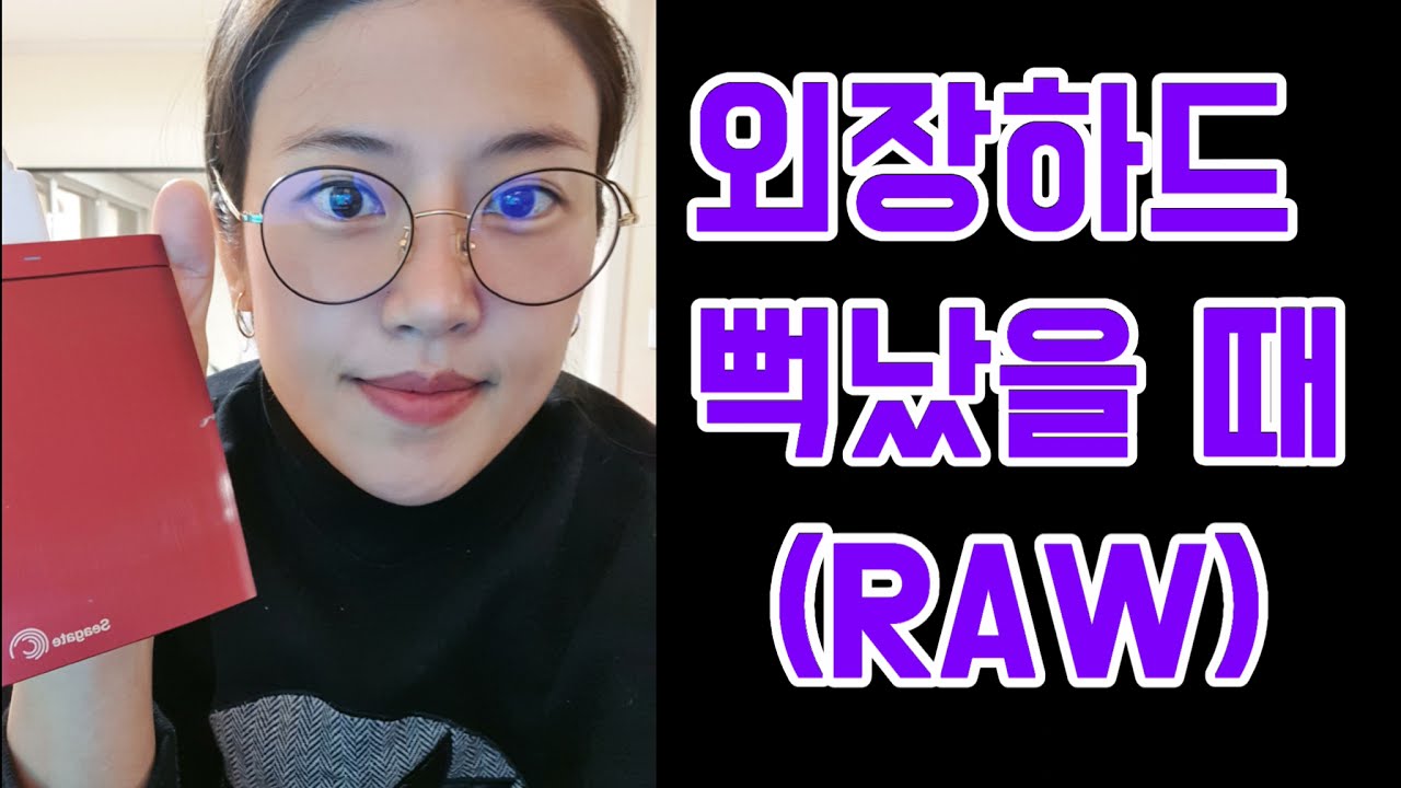 외장하드 구출하기 뻑난 외장하드 RAW 안 읽힐때 아줌마도 복원한 쉬운 복사 방법testdisk