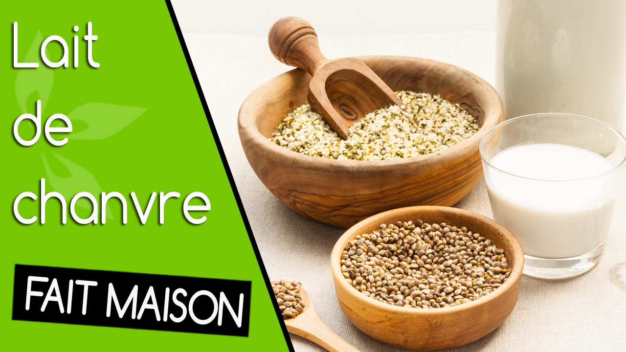 Lait de chanvre fait maison - YouTube