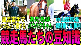 【競馬の反応集】「ここだけ競走馬のどうでもいい知識が集まるスレ」に対する視聴者の反応集