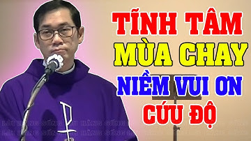 BÀI GIẢNG TĨNH TÂM MÙA CHAY CỦA LM PHAOLO LƯU QUANG BẢO VINH | NIỀM VUI ƠN CỨU ĐỘ
