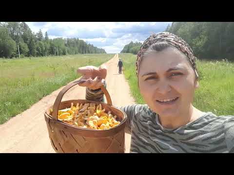 Приехали стройматериалы для пристройки. Активно собираем дары природы)).