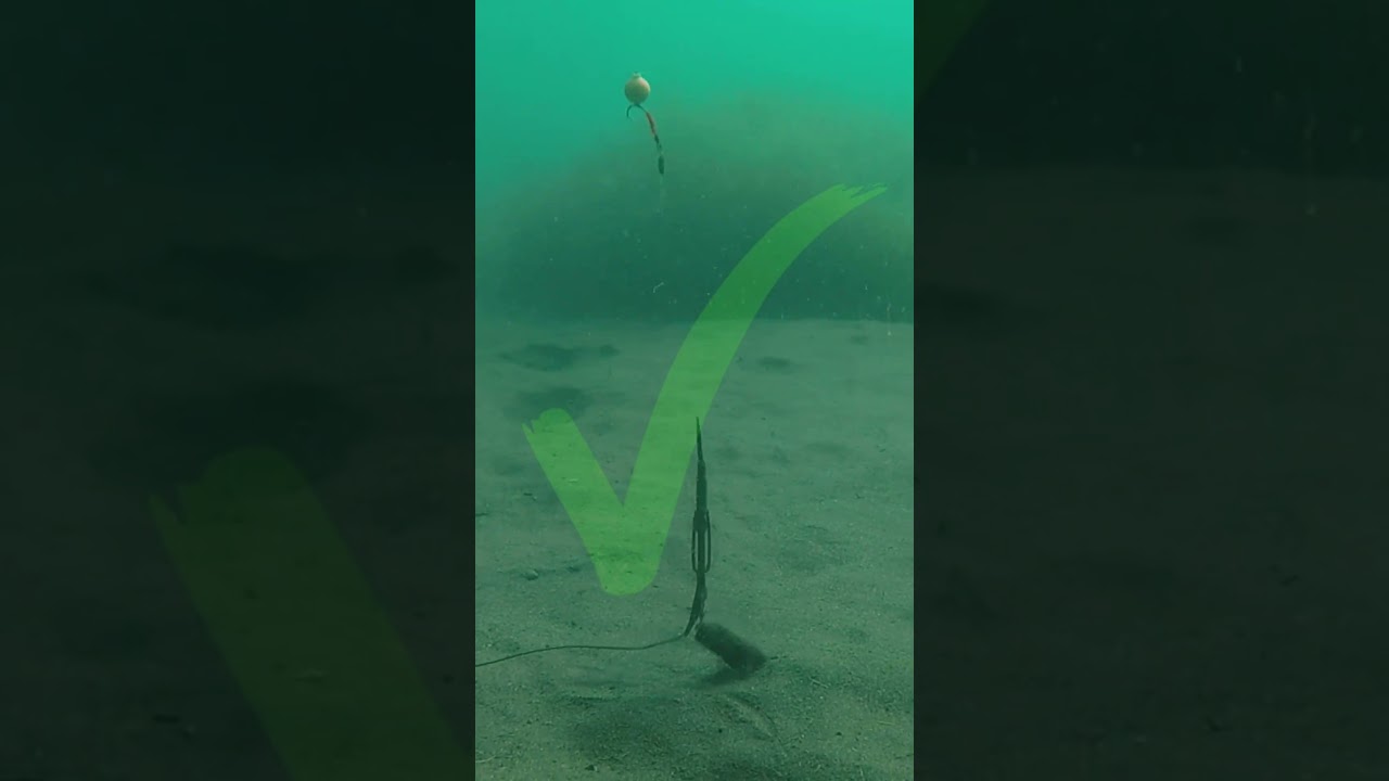 ❌ DON’T BE A MUG 