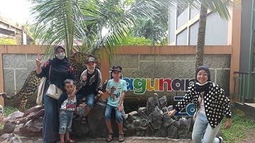 #MiniVlog At Ragunan Zoo | Melihat Satwa di Kebun Binatang Ragunan