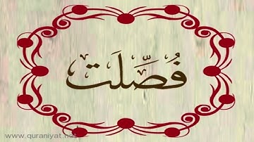 الشيخ ناصر القطامي - سورة فصلت