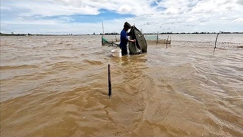 2vợ chồng đổ dớn mùa gió bấc cá chạy đầy thùng,và món tép chiên bột ăn kèm rau sống@vochongmientaytv