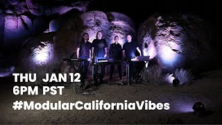 Exclusive Q&amp;A with the artists behind Modular California Vibes