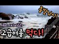 통발로 대형 파도를 뚫고 고급어종 잡다! 반찬을 만들어보자! 통발낚시 바다통발 Let's catch high-quality fish in the sea and eat them