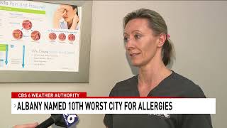 Albany Named Top 10 Worst City for Allergies