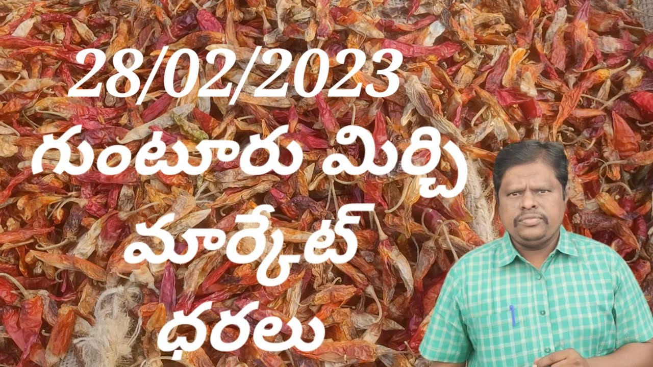 28 February 2023 GUNTUR MIRCHI MARKET RATES గుంటూరు మిర్చి మార్కేట్