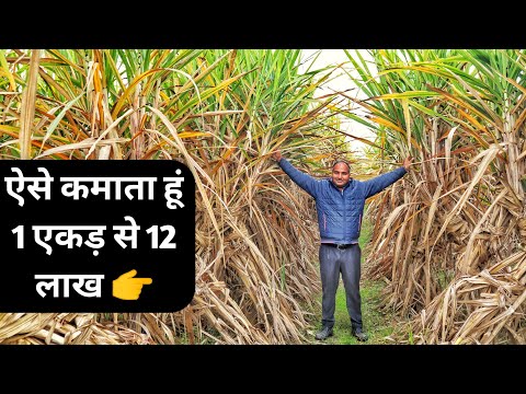 प्राकृतिक गन्ने की कमाल खेती || Natural Sugarcane