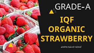 IQF Organic Strawberry Grade A,Packing: 10kg carton, on pallets - by Organic Co. For export & Import