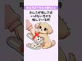 実は犬にやってはいけない行動【犬雑学】#犬のいる生活 #いぬのきもち