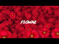 Skillibeng Flowaz Official Audio mp3