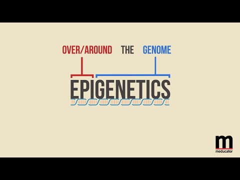 Epigenetics and Depression