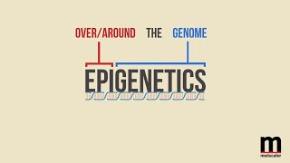 Epigenetics and Depression