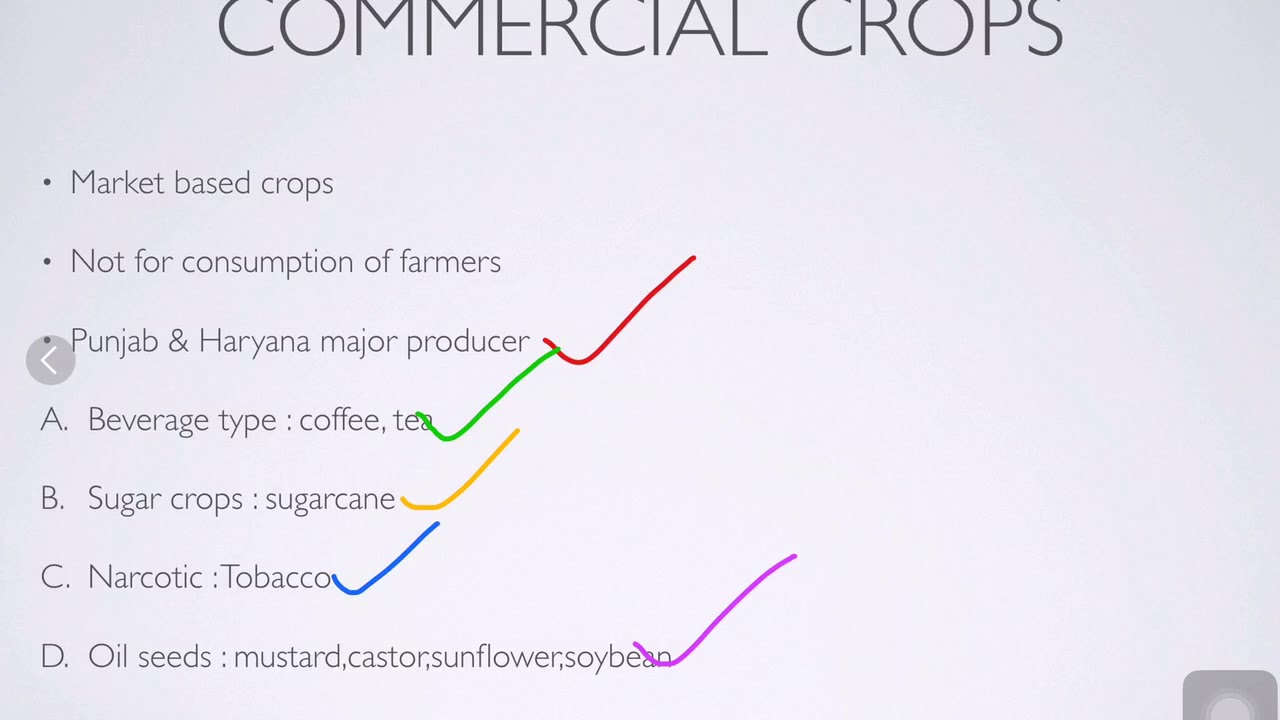 Commercial crops UPSC ECONOMICS Lectures IAS upsc lectureship