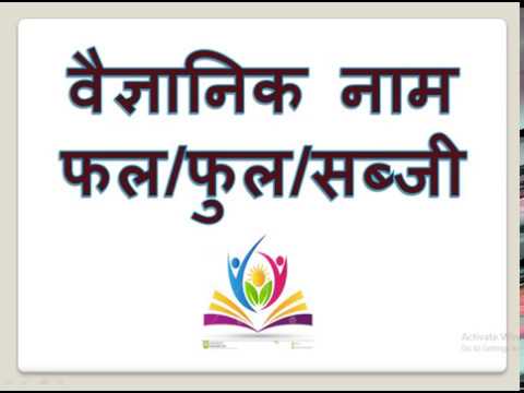 Scientific Names Of Plants Fruits And Vegetables In Hindi Curiosityaboutstudy You - Scientific Names Of Fruits And Vegetables Pdf In Hindi Scientific Names Of Plants Fruits And Vegetables In Hindi Curiosityaboutstudy You - Scientific Names Of Fruits And Vegetables Pdf In Hindi