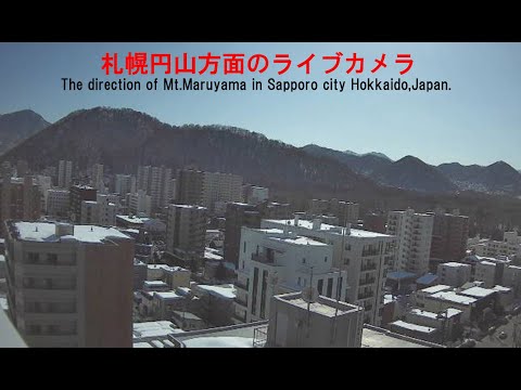 Sapporo Maruyama Direction live cam preview