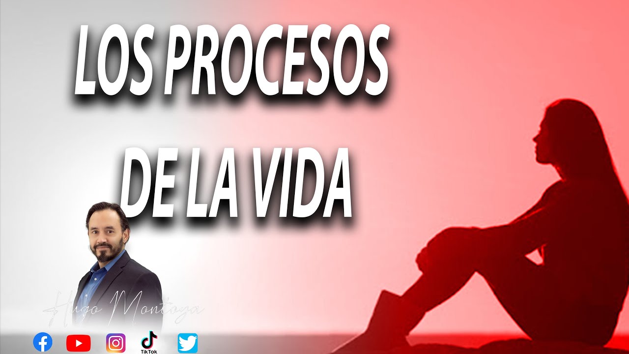LOS PROCESOS DE LA VIDA YouTube