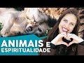 A missão dos Animais de Estimação entre nós - Acordos Espirituais