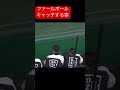 巨人広島線でファールボールを捕ってしまう客を現地から2024/4/13 #エキサイトシート #プロ野球 #野球