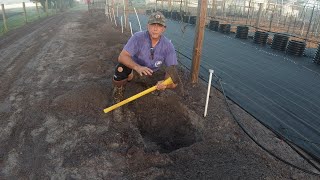 Watermelon Pro Tips, Preparing permanent watermelon beds before laying down ground covering