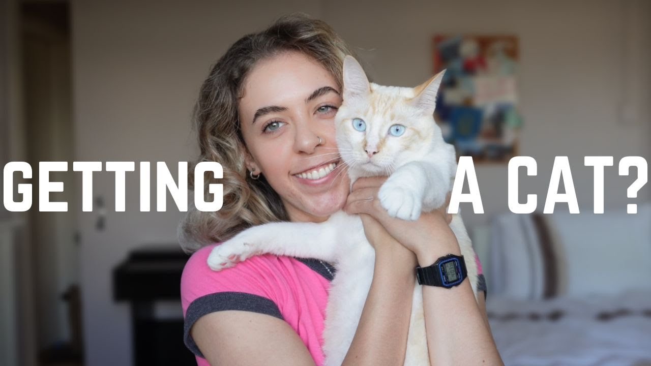 Things I Wish I Knew Before Getting a Cat YouTube