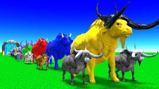 Paint Animals Adventure Cow To Bison Transformations Cartoon Animal Magic
