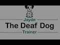 Deaf Dog Hand Signals