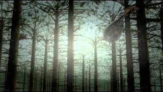 Alien Planet.avi